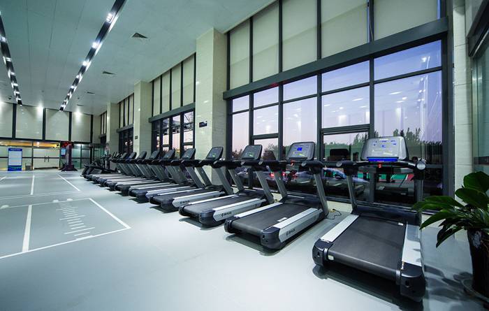 室内健身器材-球王会V9跑步机