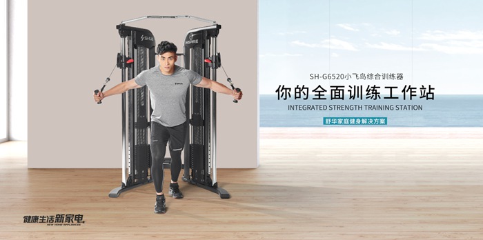 球王会健身器材-小飞鸟综合训练器SH-G6520 球王会健身器材-小飞鸟综合训练器SH-G6520