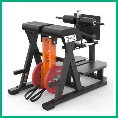 后表链训练器SH-G8924-广西球王会体育健身器材有限公司