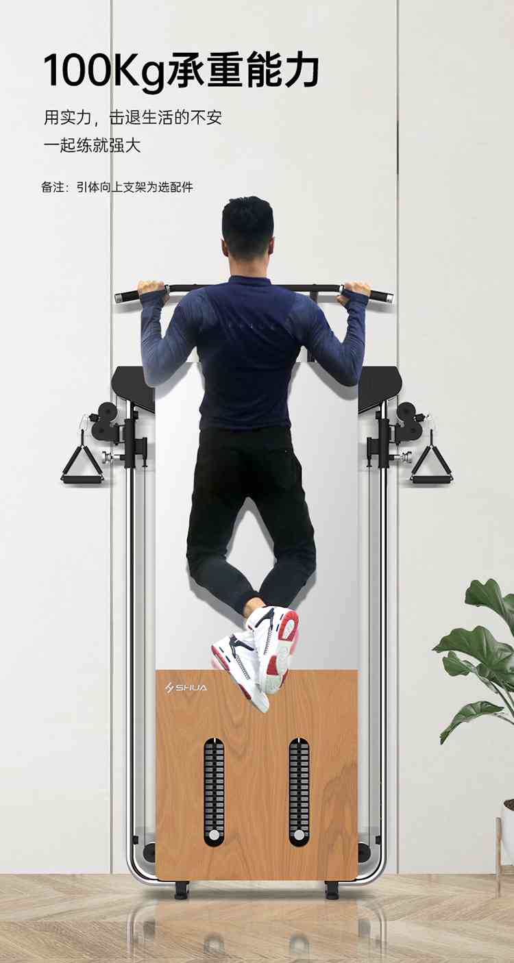 SH-G699 壁挂式拉绳训练器-广西球王会体育健身器材有限公司 SH-G699 壁挂式拉绳训练器-广西球王会体育健身器材有限公司