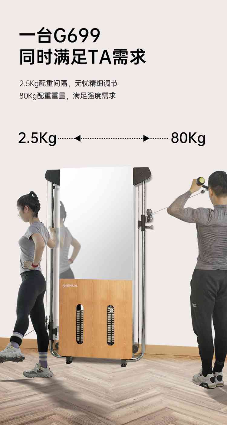 SH-G699 壁挂式拉绳训练器-广西球王会体育健身器材有限公司