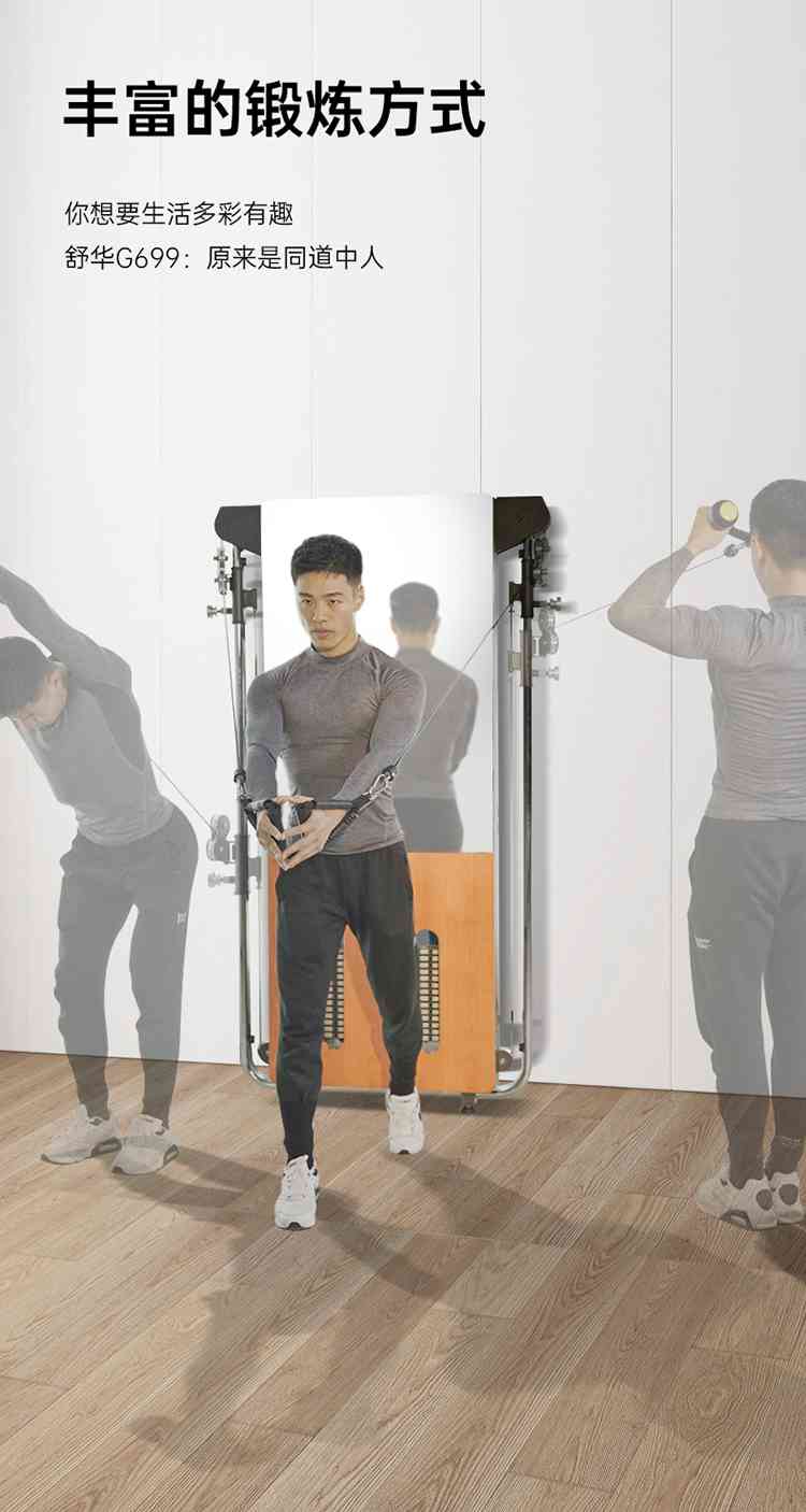 SH-G699 壁挂式拉绳训练器-广西球王会体育健身器材有限公司 SH-G699 壁挂式拉绳训练器-广西球王会体育健身器材有限公司